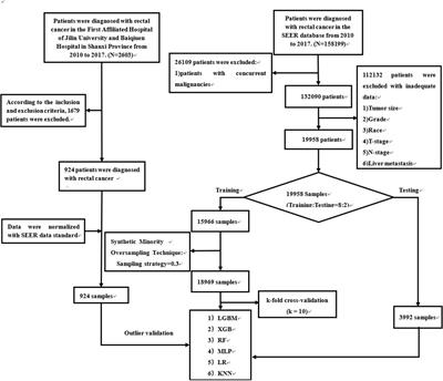 Application of machine learning techniques in real-world research to predict the risk of liver metastasis in rectal cancer